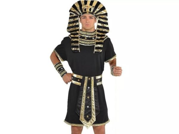 King Tut Adult Halloween Costume