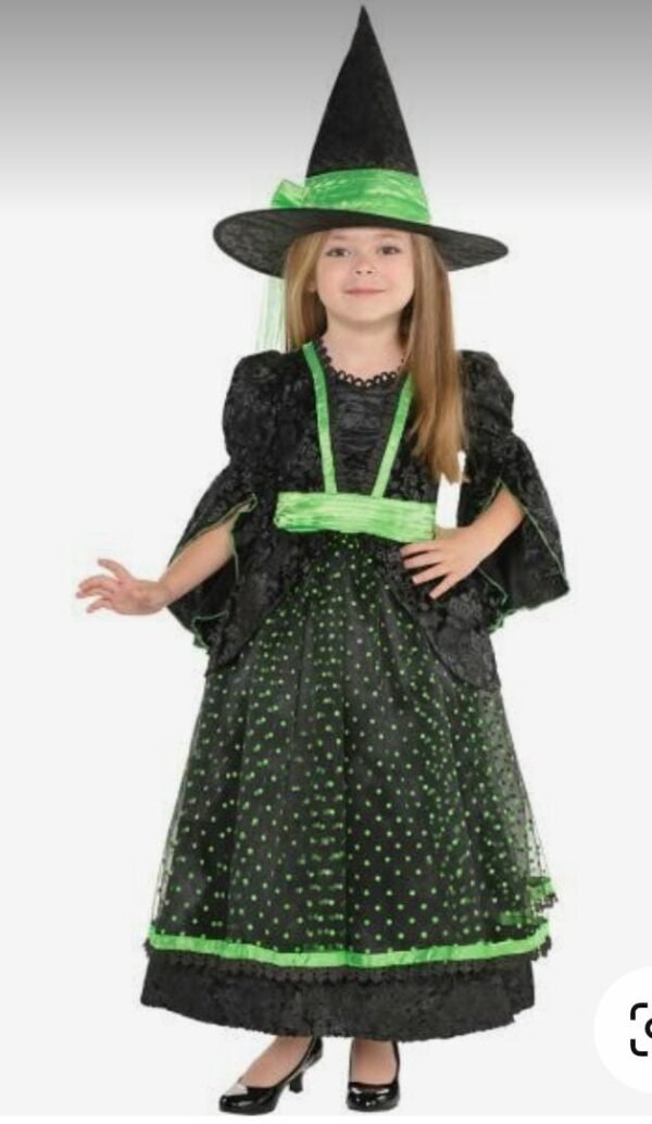 Fancy Witch Kids Halloween Costume